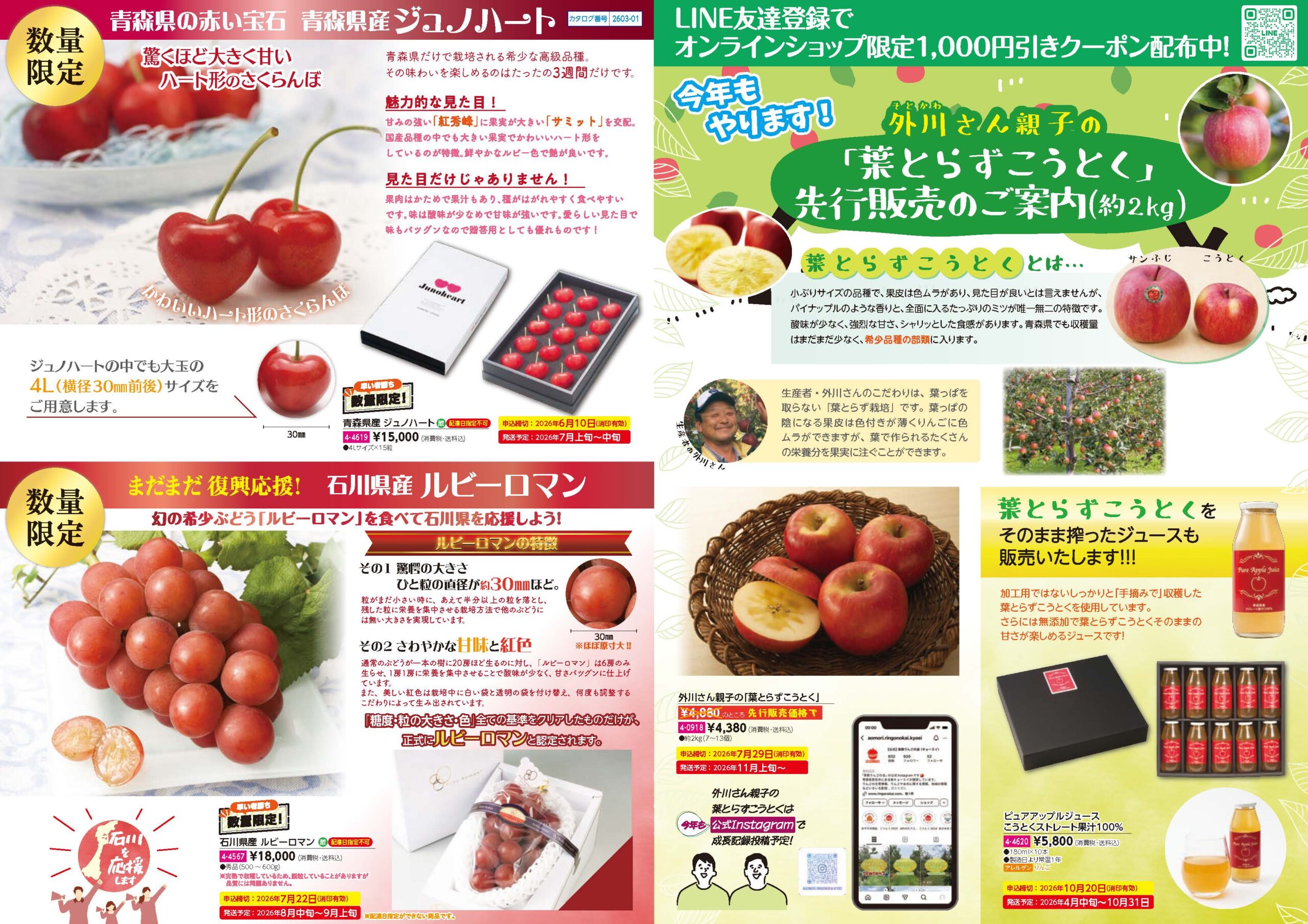 ジュノハート・葉とらずこうとく チラシ